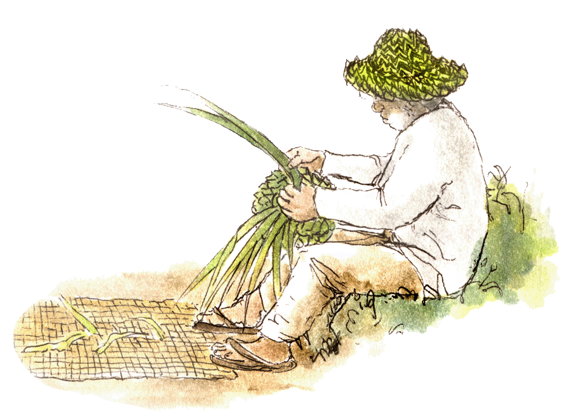 Weaving a hat from palm leaves...